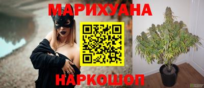 ALPHA PVP Севастополь