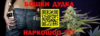 сатива Сланцы