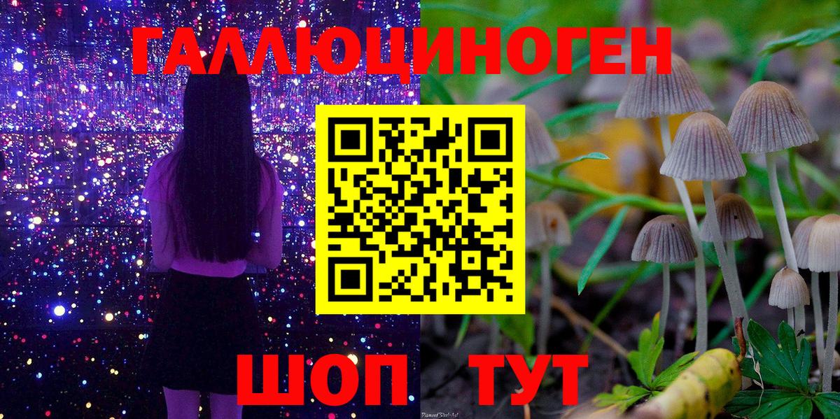 Галлюциногенные грибы MAGIC MUSHROOMS  Вход с VPN  наркошоп  Нурлат  Псилоцибиновые грибы прущие грибы 